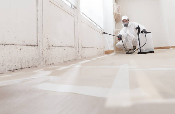 24/7 Emergency Black Mold Remediation experts in Maywood, NJ